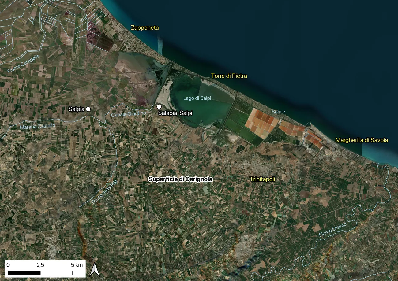 Immagine satellitare della superficie di accumulo di Cerignola: una pianura sabbiosa intensamente parcellizzata a vigneto e oliveto, percorsa da un reticolo di corsi d'acqua minori.