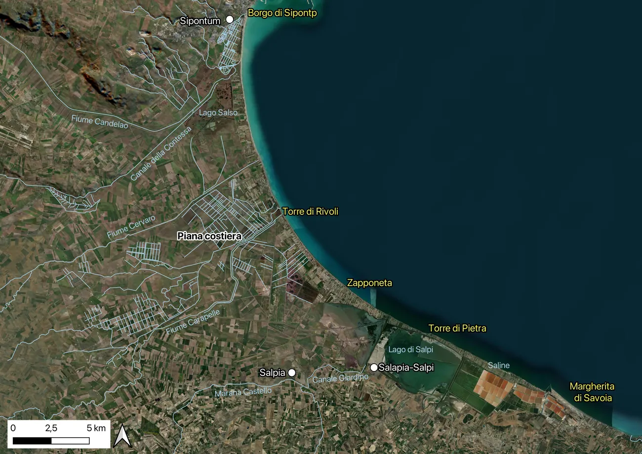 Immagine satellitare della piana costiera del golfo di Manfredonia: campi regolari della bonifica, un cordone dunale continuo lungo la riva e specchi d'acqua residui verso l'interno.